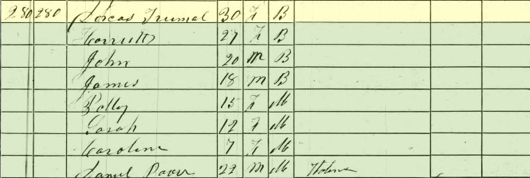 1860-federal-census-dorcas-trumal